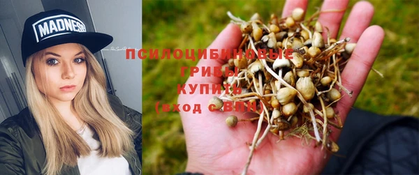 mdpv Покров